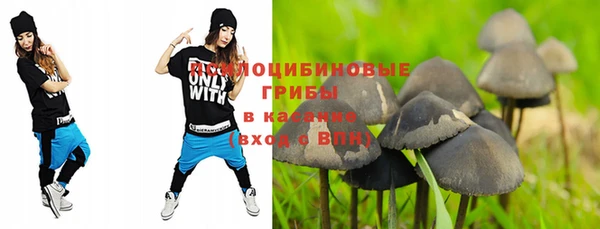 ешки Баксан