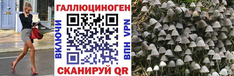 OMG   Ливны  Галлюциногенные грибы Cubensis  магазин  наркотиков 
